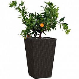 Подвесное кашпо "Rattan Planter S" - Фото предпросмотра